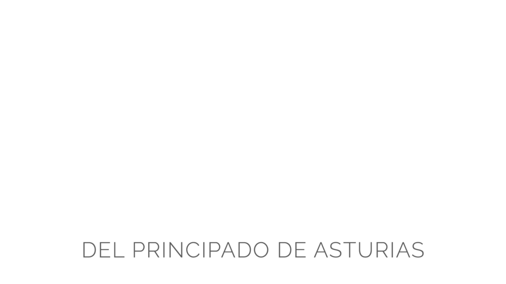 ASOCIACIÓN DE EMPRESAS DE PRODUCCIÓN AUDIOVISUAL DE ASTURIAS